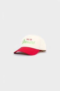 Full of Dreams Snapback - 003