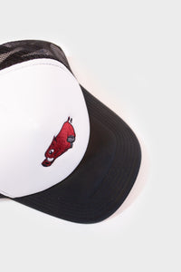 Raz Trucker Hat - 001