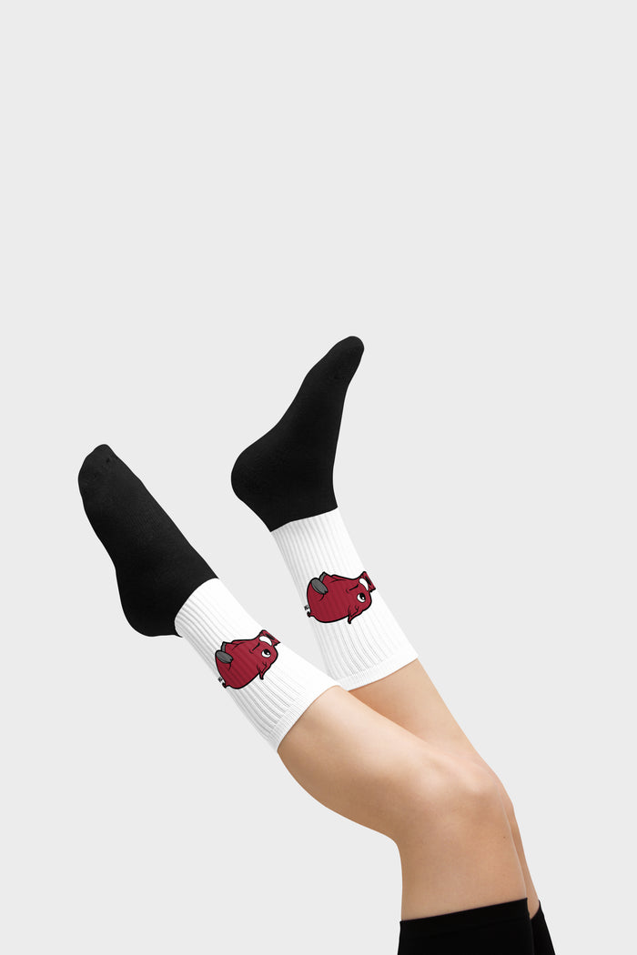Raz Socks (001)